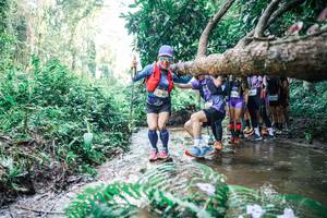 BIB: 
                            <button type="button" onclick="openModal(25468147)" class="btn btn-primary btn-sm float-right btn-popup" data-toggle="modal" data-target=".modal-high-quality">
                        <i class="fas fa-shopping-cart"></i> Add to Cart
                    </button>
                                            <button type="button" onclick="isThisMe(25468147, true)" class="btn btn-success btn-sm float-right btn-popup btn-isme hidden" data-toggle="tooltip" data-placement="bottom" title="นี่คือรูปของคุณใช่ไหม คลิกที่นี่เพื่อเอาเข้าอัลบั้ม">
                        <i class="fas fa-plus"></i> Add to album
                    </button>
                    <button type="button" onclick="isThisMe(25468147, false)" class="btn btn-warning btn-sm float-right btn-popup btn-isnotme hidden">
                        <i class="fas fa-ban"></i> Remove from album
                    </button>